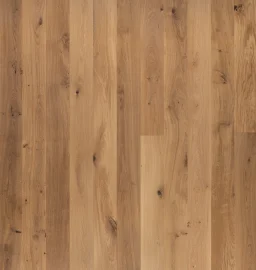 cascade-morrisey-character_oh